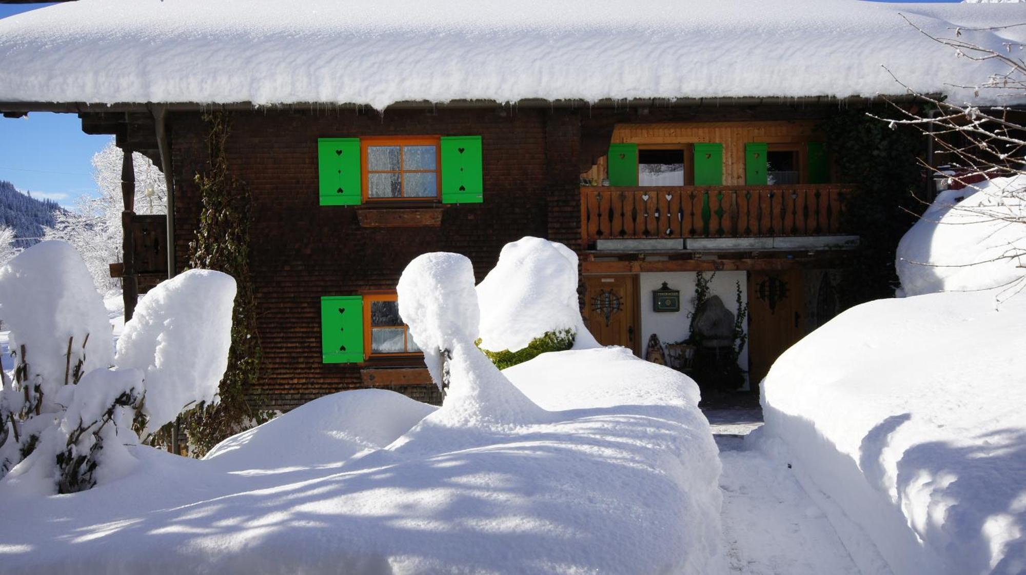 Haus Aelpele Apartment Klosterle am Arlberg Luaran gambar